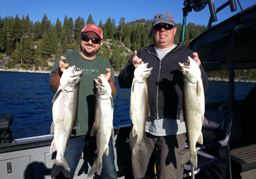 Quality Mackinaw Biting For Our Lake Tahoe Fishing Charters!
